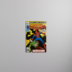 Kith Memorabilia Amazing Spider-Man #176 Comic